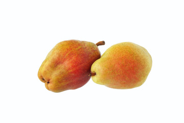 Two pears. Isolated.