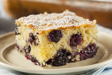 Homemade Blueberrry Coffee Cake