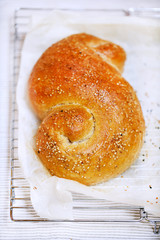 Sesame bread bun rolled with sesame seeds, fresh baked