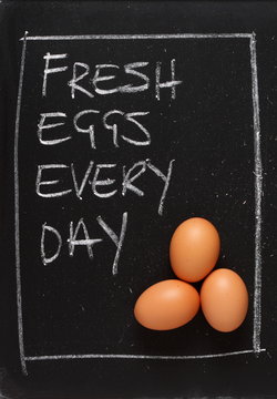 Fresh Eggs Every Day Blackboard Concept