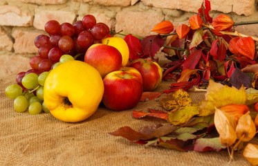 Naklejka na ściany i meble Autumn fruits