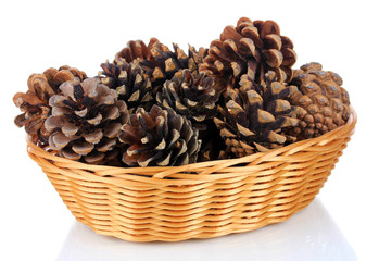 Beautiful pine cones in wicker basket isolated on white