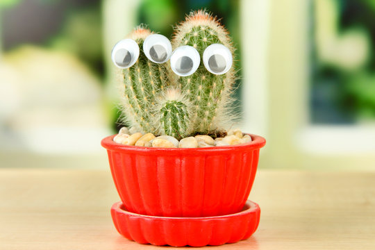 Cactus in flowerpot with funny eyes, on wooden windowsill