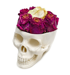 Roses into an human skull