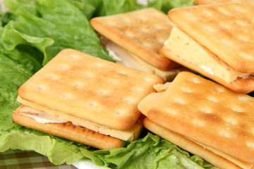 Sandwich crackers with cheese clothe up