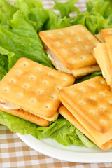 Sandwich crackers with cheese close up