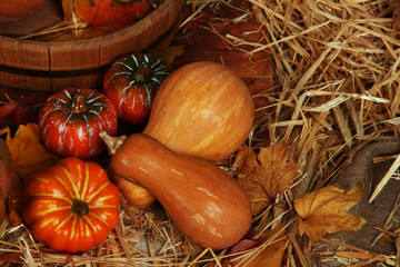 Pumpkins with wooden tub on straw close up
