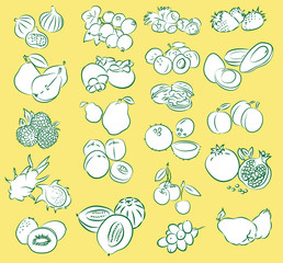 Vector illustration of fruits collection
