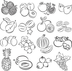 Vector illustration of  fruits collection - 58089985