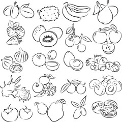 Vector illustration of fruits collection - 58089995