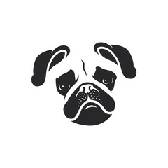 Pug dog face