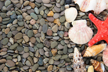 Small sea stones and shells, close up