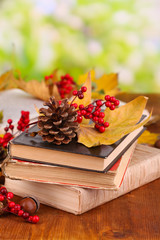 Books and autumn leaves on wooden table on natural background