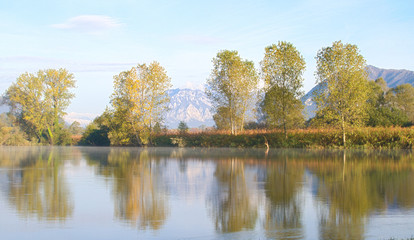 autumn along the Adda river