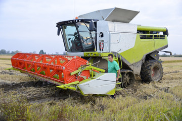 Lavori in risaia - controllo mietitrebbia