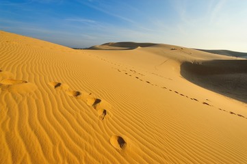 Endless Desert Landscape