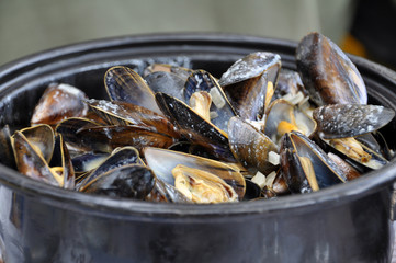 Frische Muscheln in Buttersauce