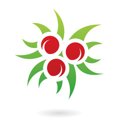 Holly Berries Abstract Icon
