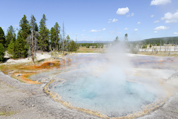 Yellowstone National Park, USA