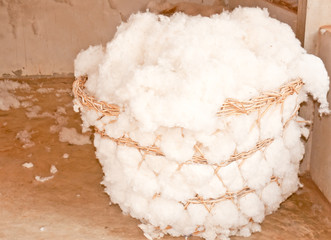 Cotton