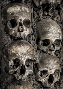 Wall full of skulls and bones