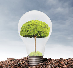 Incandescent light bulb with plant as filament