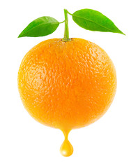 Isolated orange. One orange fruit with leaves and drop of juice isolated on white background