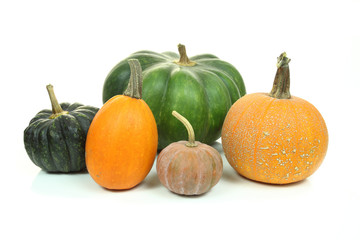 Pumpkins isolated