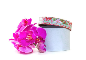 Gift box with a pink orchid on a white background