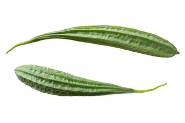 Sponge gourd