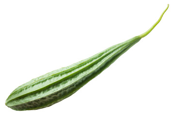 Sponge gourd