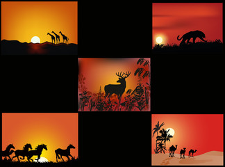 set of animals at orange sunset