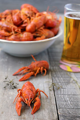 Red boiled crayfish and beer