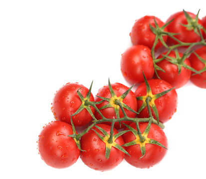 Composition of tomatoes with