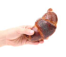 Hand holds appetizing croissant.