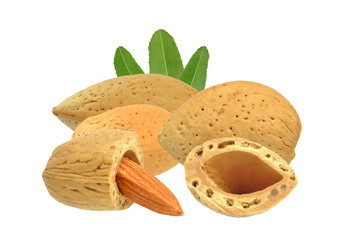 almond nuts