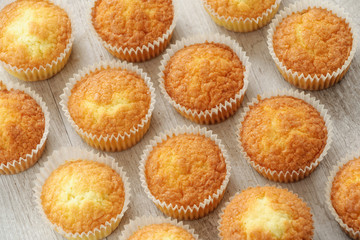 Muffins appena sfornati