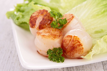 seared scallop