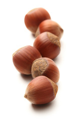 Fresh hazelnuts