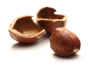 Whole and cracked hazelnuts
