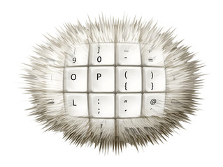 Stylized egg White Keyboard for Computer, Art