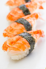 Shrimp sushi nigiri