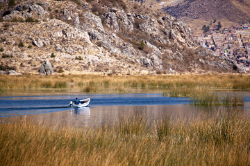 Lake Titikaka fisher - 58108931