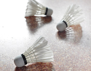 Badminton Kit