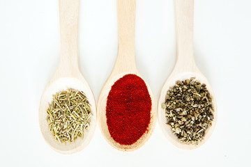 Spice assortment in wooden spoons