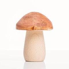 Pilz aus Holz