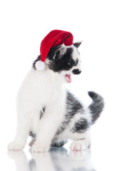 small kitten in a santa hat meowing