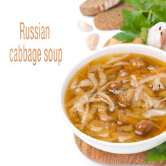 bowl of traditional Russian cabbage soup (shchi)