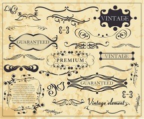 Vector set of calligraphic design elements
