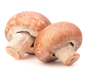 Fototapeta premium Brown champignon mushroom